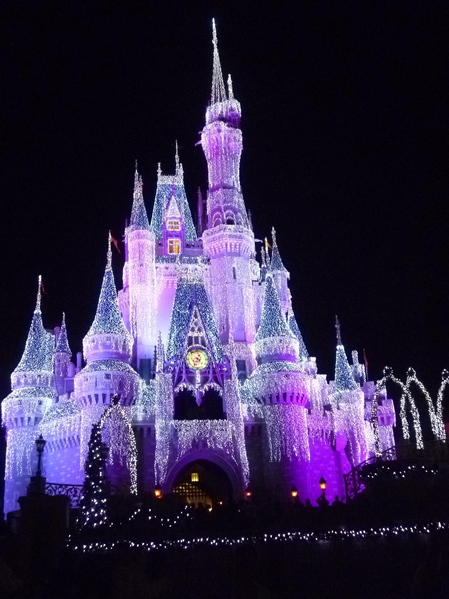 Cinderella Castle at Magic Kingdom, Walt Disney World, lit up at night